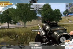 最新枪械爆料视频大全集