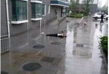 日照小区爆料事件最新,最新事件真相揭秘，居民生活再掀波澜