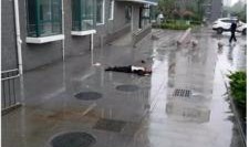 日照小区爆料事件最新,最新事件真相揭秘，居民生活再掀波澜