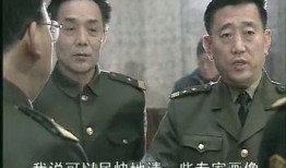 二八大案最新爆料视频在线观看,案情再掀波澜，真相逐渐浮出水面