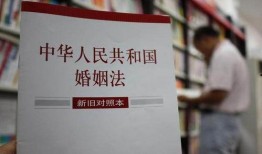 美国最新爆料离婚法律,变革中的婚姻法规解读