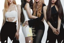 hs女团最新爆料在线观看,精彩瞬间在线观看，揭秘幕后故事