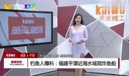 钓鱼爆料视频最新大全图片,捕捉瞬间，揭秘钓鱼高手技巧与心得