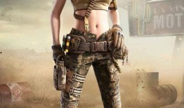 最新军需和平精英爆料,揭秘神秘军需装备