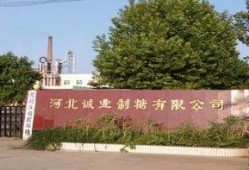 河北赵县环保最新爆料,揭秘河北赵县环境治理新进展