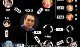 张艺谋罚款爆料视频最新,揭秘背后真相与影响