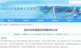 爆料宜昌事件最新消息,真相逐步浮出水面