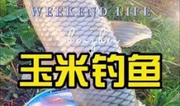 抖音小海鱼棠最新爆料,揭秘网红幕后故事！