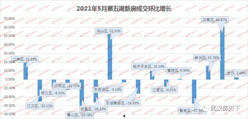 武汉洪山区最新爆料信息,揭秘神秘事件背后的真相