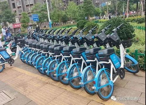 昆明电动车最新爆料,最新爆料揭示行业变革趋势